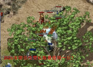 2026����Щ����˽����ֵ��һ�棿