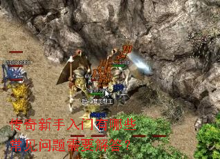 ����������������Щ����������Ҫ���