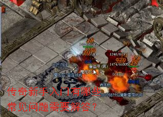 ����������������Щ����������Ҫ���