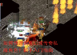 ��ο��ٴ����óǴ���˽����ɫ����������ָ��