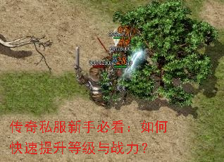 ����˽�����ֱؿ�����ο��������ȼ���ս����