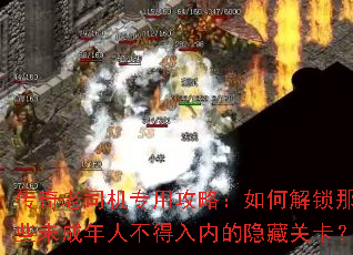 ������˾��ר�ù��ԣ���ν�����Щδ�����˲������ڵ����عؿ���