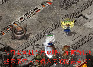 ������˾��ר�ù��ԣ���ν�����Щδ�����˲������ڵ����عؿ���