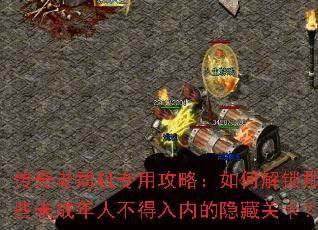 ������˾��ר�ù��ԣ���ν�����Щδ�����˲������ڵ����عؿ���