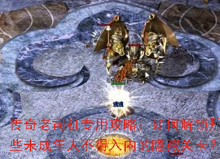 ������˾��ר�ù��ԣ���ν�����Щδ�����˲������ڵ����عؿ���