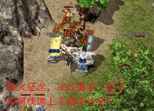 �����;����ս������������ο�������ʢ�����棿