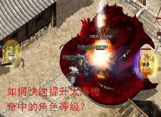 ��ο��������󺣴����еĽ�ɫ�ȼ���