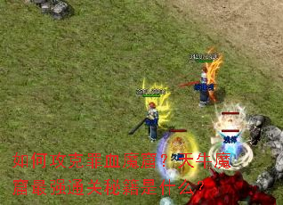 ��ι�����Ѫħ�ߣ���ţħ����ǿͨ���ؼ���ʲô��