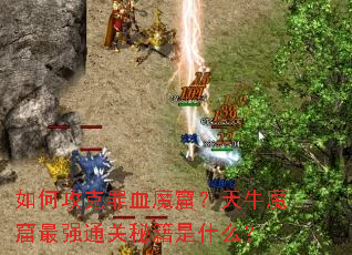 ��ι�����Ѫħ�ߣ���ţħ����ǿͨ���ؼ���ʲô��