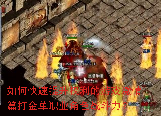 ��ο�������Ȩ������Ϸ����ƪ���ְҵ��ɫս������