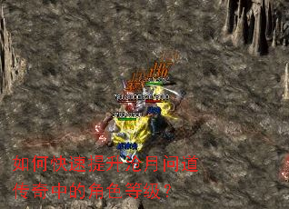 ��ο������������ʵ������еĽ�ɫ�ȼ���