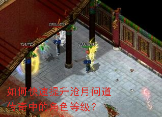 ��ο������������ʵ������еĽ�ɫ�ȼ���