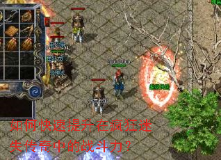 ��ο��������ڷ����ʧ�����е�ս������