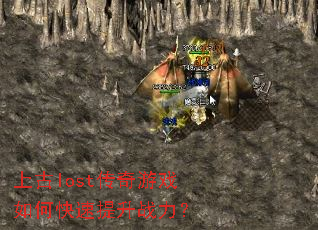 �Ϲ�lost������Ϸ��ο�������ս����