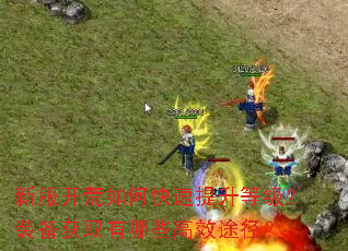 �·�������ο��������ȼ���װ����ȡ����Щ��Ч;����