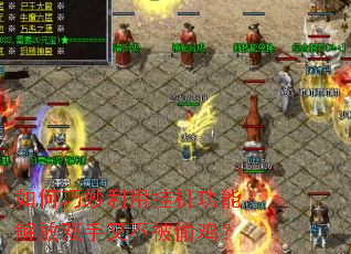 ����������ùһ����ܽ��˫���ֲ���͵����