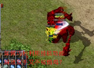 ����������ùһ����ܽ��˫���ֲ���͵����