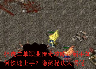 �񼣶���ְҵ���湥�ԣ�������ο������֣������ؾ������