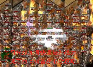 ����˽����ο�������ս������̬�汾װ����ȡȫ����