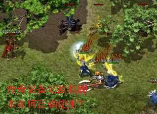 ����װ���и���ű������ȷʹ�ã�