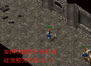 如何快速提升单职业战狼毁灭的战斗力? 如何快速提升单职业战狼毁灭的战斗力?