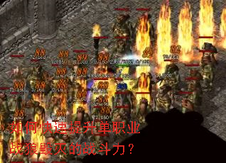 如何快速提升单职业战狼毁灭的战斗力? 如何快速提升单职业战狼毁灭的战斗力?