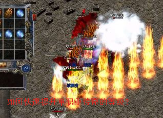 ��ο���������ְҵ����ĵȼ���