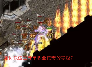 ��ο���������ְҵ����ĵȼ���