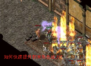 ��ο���������ܽ��ɫս����