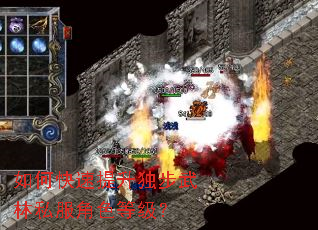 ��ο���������������˽����ɫ�ȼ���