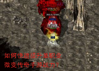 ��ο���������ְҵ΢�䴫������ս����