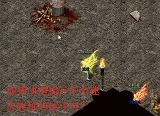 ��ο�������ǧɱ��ʧ��ַ��ս������