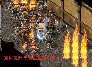 ���������ְҵ������������