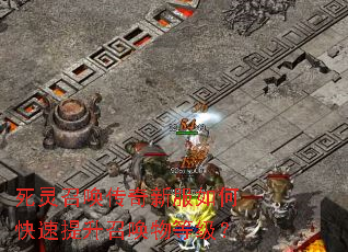 �����ٻ������·���ο��������ٻ���ȼ���