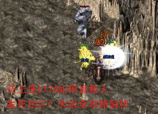 ҩ��ׯ6774���ֱ���������������켶ȫ���Խ���