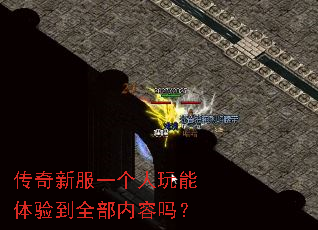 传奇新服一个人玩能体验到全部内容吗? 传奇新服一个人玩能体验到全部内容吗?