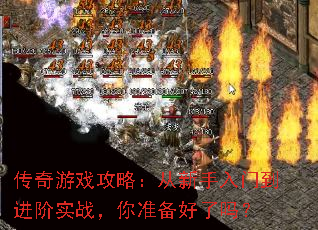 ������Ϸ���ԣ����������ŵ�����ʵս����׼��������