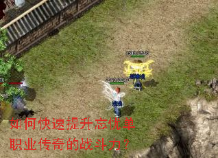 ��ο����������ǵ�ְҵ�����ս������