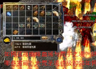 ��������İ�Ѫ�������֮��������֮�����淨����ʲô������ʥ����������Щ���أ����ʥ���ռ�BOSS��λ��ܣ�������½��ǿװ����λ�ȡ��