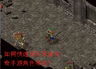 如何快速提升黑金传奇手游角色等级? 如何快速提升黑金传奇手游角色等级?