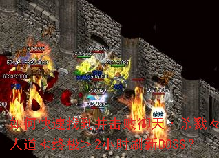 ��ο����ҵ����������졤ɱ¾���޼��˵����ռ���2Сʱˢ��BOSS��