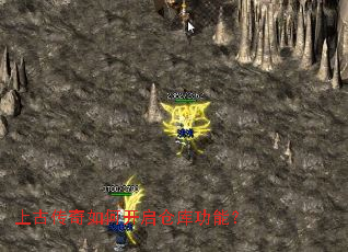 �ϹŴ�����ο����ֿ⹦�ܣ�