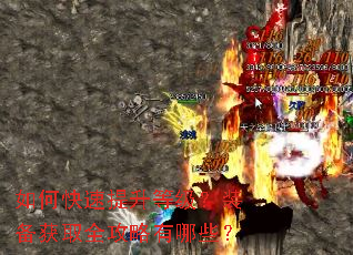 ��ο��������ȼ���װ����ȡȫ��������Щ��