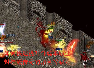 ��ο����������굥ְҵ��Ұ洫��Ľ�ɫ�ȼ���