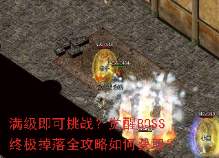 满级即可挑战?觉醒BOSS终极掉落全攻略如何获取? 满级即可挑战?觉醒BOSS终极掉落全攻略如何获取?
