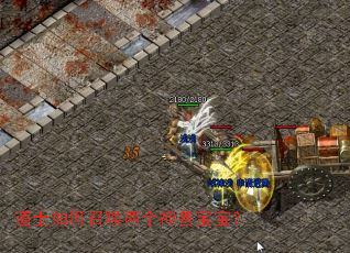 ��ʿ����ٻ��������ޱ�����