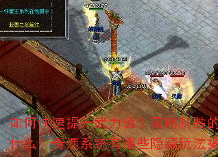 ��ο�����������ֵ��������ʤ�Ĺؼ���ʲô������ϵͳ����Щ�����淨���أ�