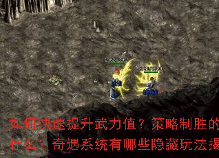 ��ο�����������ֵ��������ʤ�Ĺؼ���ʲô������ϵͳ����Щ�����淨���أ�