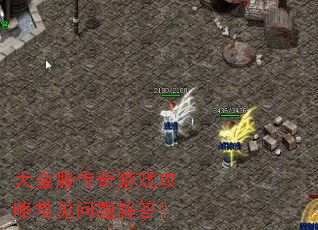 大金服传奇游戏攻略常见问题解答? 大金服传奇游戏攻略常见问题解答?