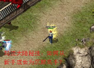 玛法大陆秘技:如何从新手成长为沉默高手? 玛法大陆秘技:如何从新手成长为沉默高手?